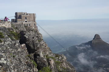 Table Mountain and Kirstenbosch Garden Tour Cape Town