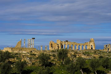 Private Day Tour from Fes to Volubilis, Morocco