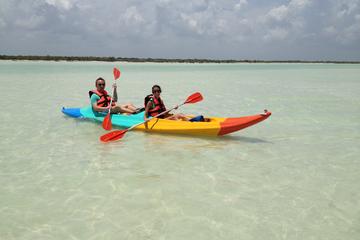 Kayaking Tour Through the Mangroves in Isla Holbox