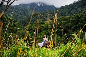 Waterfall Horseback Ride from San Ignacio