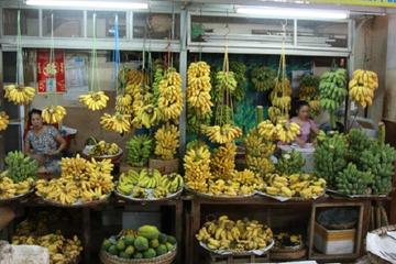 Da Nang Market Tour by Bike Including Home Cooking Class