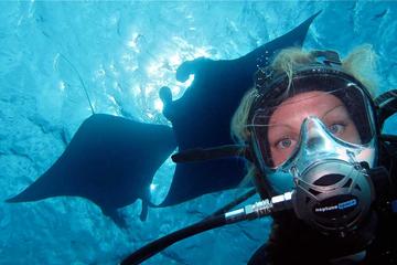 Diving at Manta point