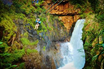 Full-Day Zip-Line, Cheetahs and Wine Adventure Tour from Cape Town