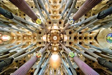 Private Walking Tour & Skip the Line: Sagrada Familia
