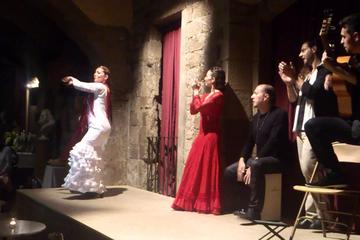 Private Walking Tour, Tapas Dinner & Flamenco Show