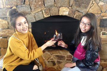 Full-Day Guided Tour of Margaret River from Perth