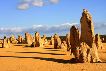 Pinnacles and Yanchep National Park Day Trip from Perth Including Lobster Shack Lunch and Sandboarding