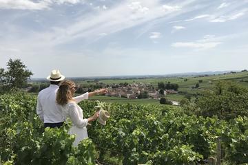 Small-Group Day Tour from Beaune including Tastings at two producers and Lunch