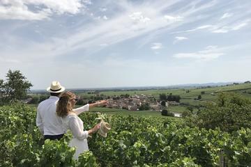 Small-Group Day Tour from Dijon to Beaune including Two Producers and Lunch