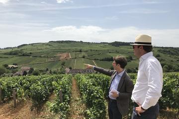 Small-Group Day Tour from Paris to Beaune including Two Producers and Lunch