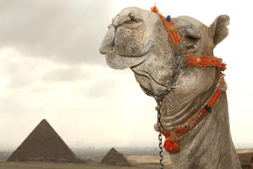 Private Day tour to Pyramids With Nile Cruise Lunch from Alexandria Port