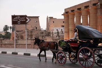 Private Luxor horse carriage tour from Luxor