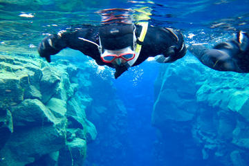 Snorkeling Tours from Safaga Port