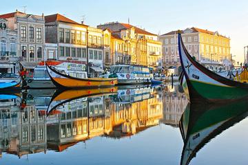 Aveiro and Costa Nova Tour half day with river cruise Small-Group from Porto