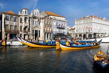 Aveiro and Costa Nova Tour with Cruise on River Small-Group Full-Day from Porto