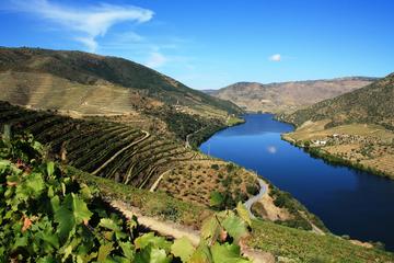 Douro Vinhateiro Small Group Tour with Wine Tasting from Porto