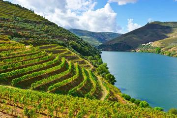 Private Tour: Douro Valley Wine and Food from Oporto