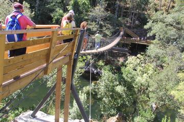 Private Tour: Nature Paiva walkways from Porto