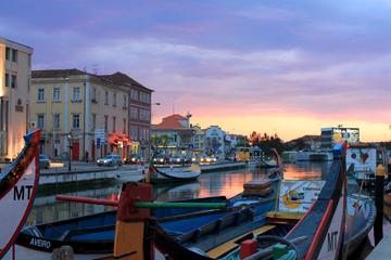 Private Tour of Aveiro from Porto