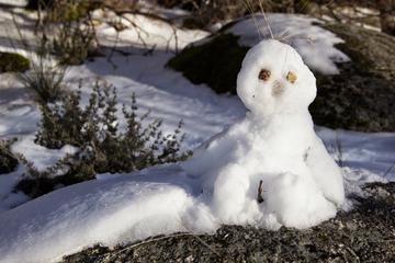 Private Tour: Serra da Estrela Full Day from Lisbon
