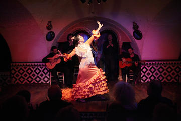Tapas and Flamenco Show at Tablao Flamenco Cordobes