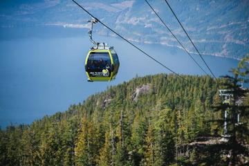 Small Group Sea to Sky Tour