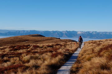 Fiordland Adventure Day Trip