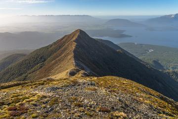 Taste of Fiordland Scenic Helicopter Flight from Te Anau