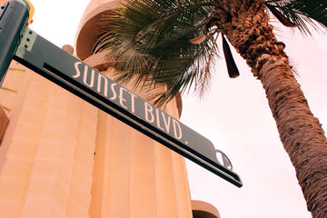 Los Angeles Afternoon Sightseeing Tour With Hollywood Sign and Star Homes
