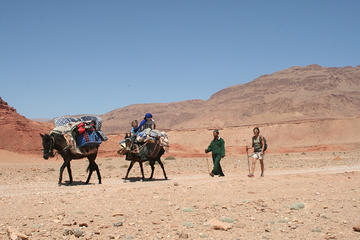 A Itinerant Hiking Trip of 5 Days with Accommodation among Nomads