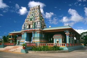 Full-Day Tour Including Garden of the Sleeping Giant, Mud Baths and Nadi Town