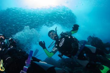 7 Days Diving and Hiking on the Galapagos Islands