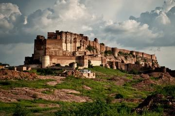 Private Day-Tour to Jain Temple Ranakpur from Jodhpur to Udaipur