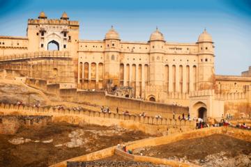 Private Jaipur City Highlights Tour with a visit to The Amber Fort and The City Palace