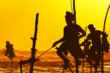 Family-friendly Galle city tour for cruise ship passengers