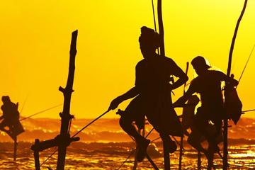 Family-Friendly Galle City Tour from Colombo
