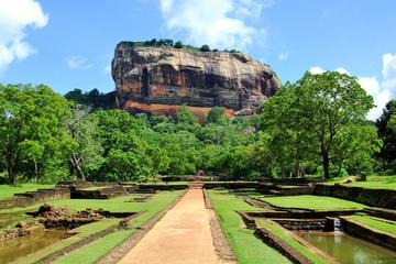 Full-Day Tour of Sigiriya Rock Fortress and Dambulla Cave Temples by Luxury Vehicle