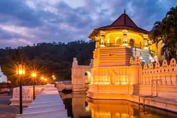 Kandy City Tour with Peradeniya Royal Botanical Gardens with Lunch