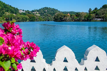 Kandy City Walks Relaxing City Tour