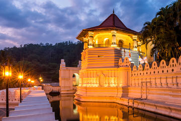 Private Kandy City Tour Including Peradeniya Royal Botanical Gardens