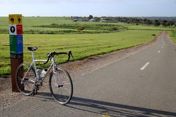Cycling Day Tour of McLaren Vale from Adelaide