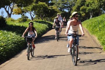 Constantia Wine Valley Bike Tour in Cape Town