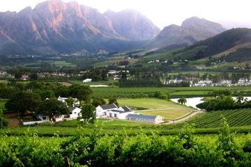 Franschhoek Cape Fold Mountain Hike from Cape Town