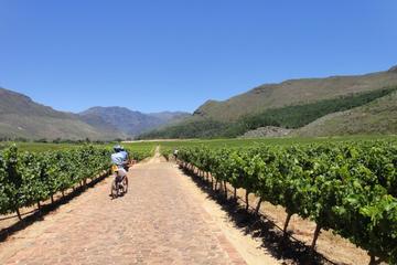 Franschhoek Vignerons Sip and Cycle Bike Tour from Cape Town
