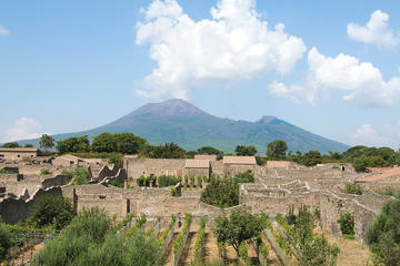 Pompeii Vesuvius Winery Lunch All-inclusive