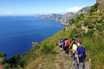 Half-Day Private Amalfi Coast Path of the Gods Hike with Lunch