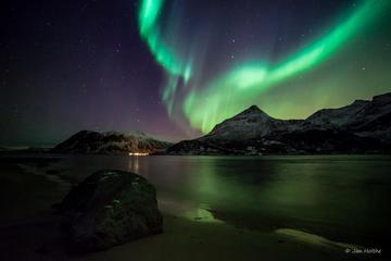 Northern Lights and Whale Safari by Catamaran from Tromso