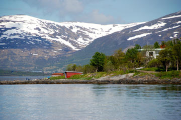Sightseeing and Fjordcruise with Cabincruiser in Tromso