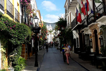 Marbella Private Half-Day Tour from Malaga