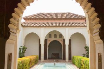 Private Full-Day Málaga City Tour from Marbella